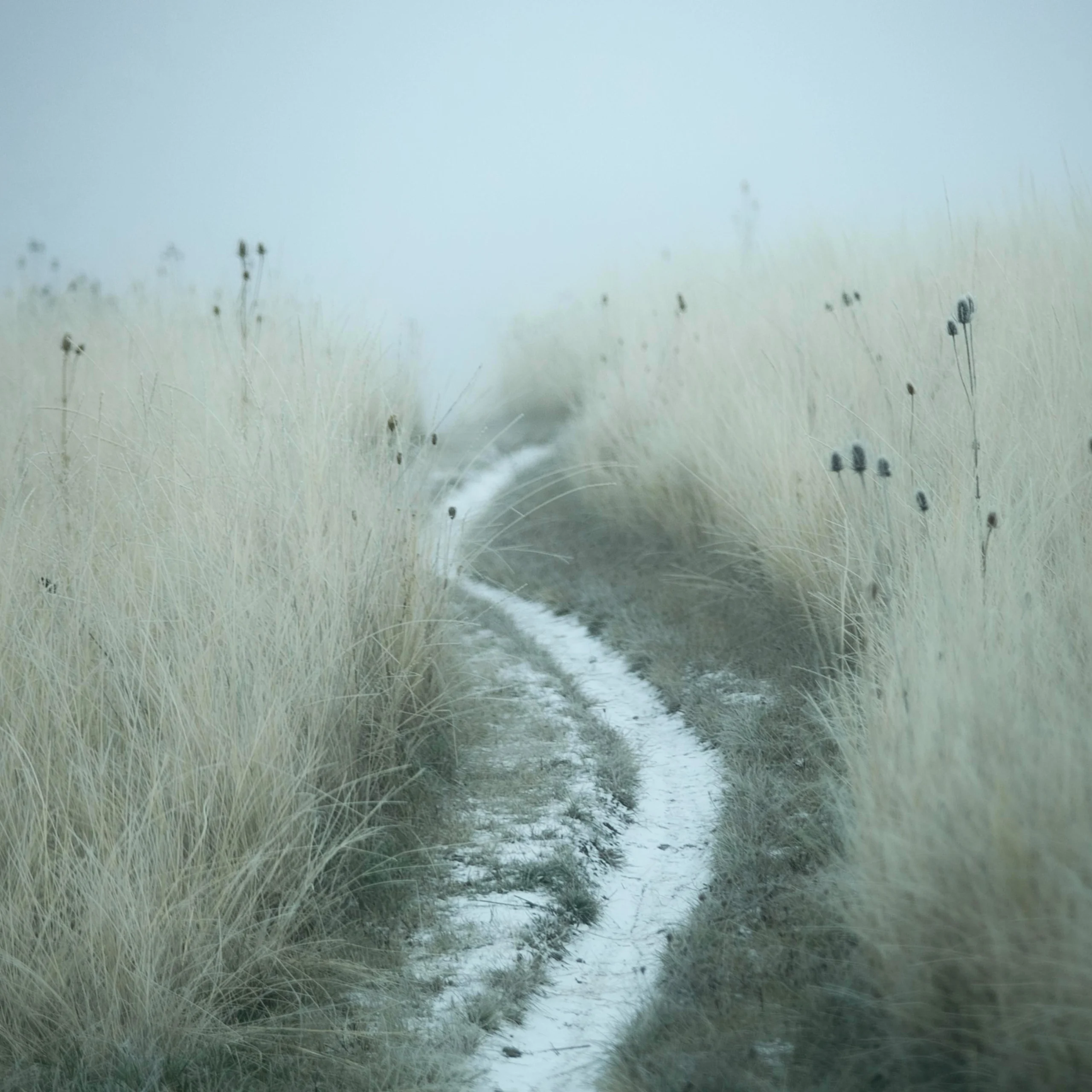 Gravel_path_refelction_mist_hutson-photography--EFlKBycLus-unsplash Psychotherapeutic counselling for navigating uncertainty in Cambridge and Ely.